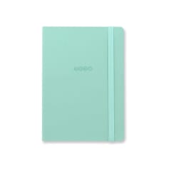 2026 Edge A6 WTV w/notes Duck Egg