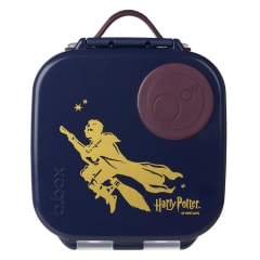 Mini Lunchbox Harry Potter