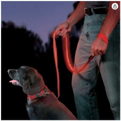 Nite Dawg Leash Red LED