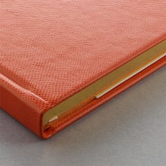 LETTS Legacy Book N/Book Orng