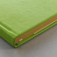 LETTS Legacy Book N/Book Green
