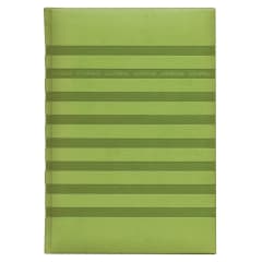 PIERRE BELVEDERE Lignes A5 Notebook Wasabi