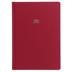 Icon A5 5 year Diary Red