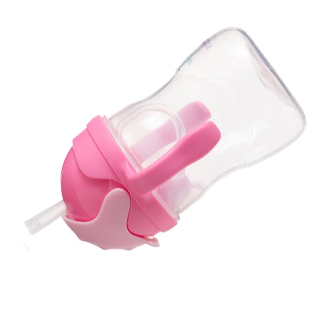 B.BOX Disney Aurora Sippy Cup