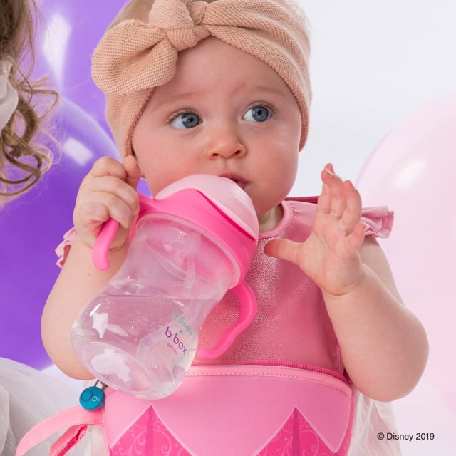 B.BOX Disney Aurora Sippy Cup