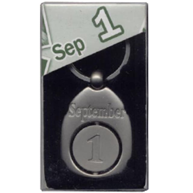MIKO CHRONICLE Keyring SEPTEMBER 1