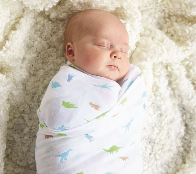 SILLY BILLYZ MUSLIN SWADDLE WRAP 2PK SET DINOSTAR