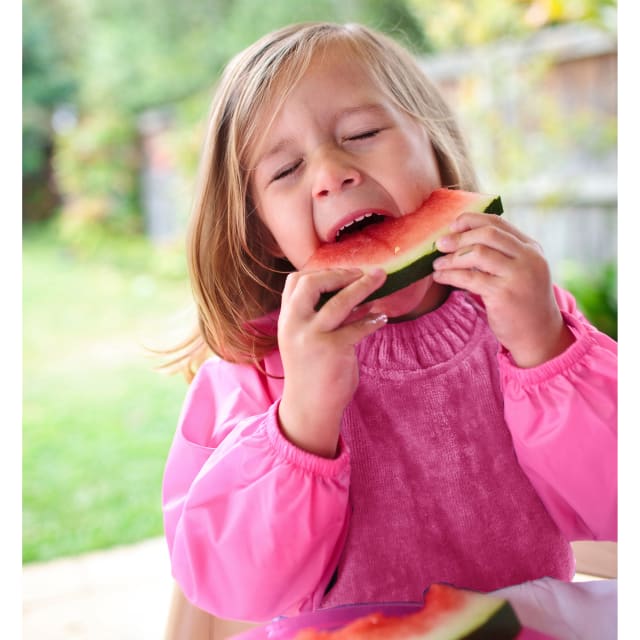 SILLY BILLYZ TOWEL SMALL L/S BIB CERISE