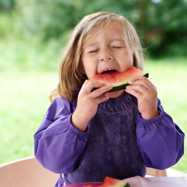 SILLY BILLYZ TOWEL SMALL L/S BIB PURPLE