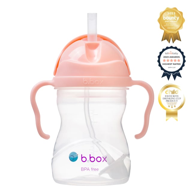 B.BOX BC Sippy Cup V2 Tutti Frutti