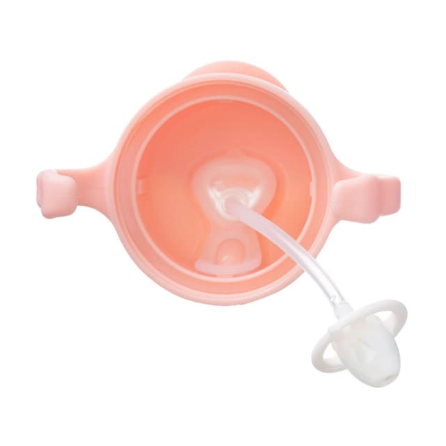 B.BOX BC Sippy Cup V2 Tutti Frutti