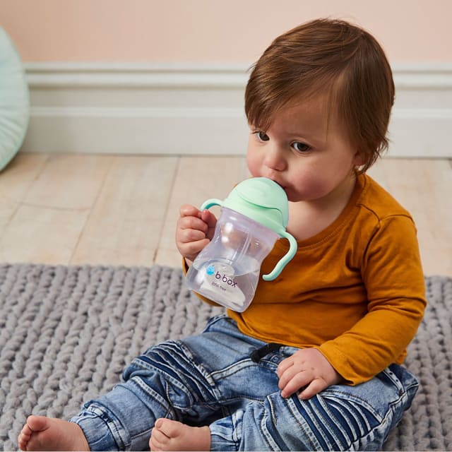 B.BOX BC Sippy Cup V2 Pistachio