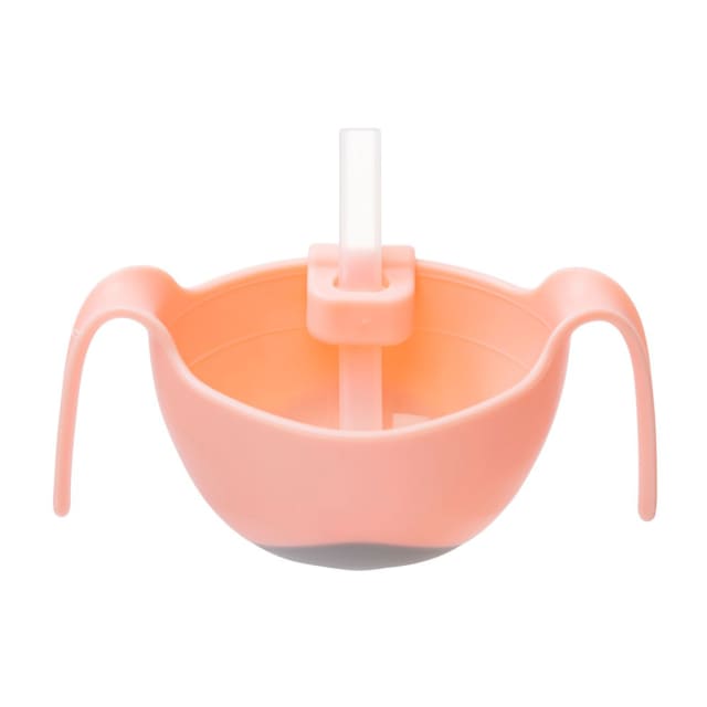 B.BOX BC Bowl Straw Tutti Fruitti