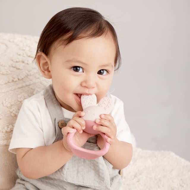 B.BOX Chill + Fill Teether - Blush