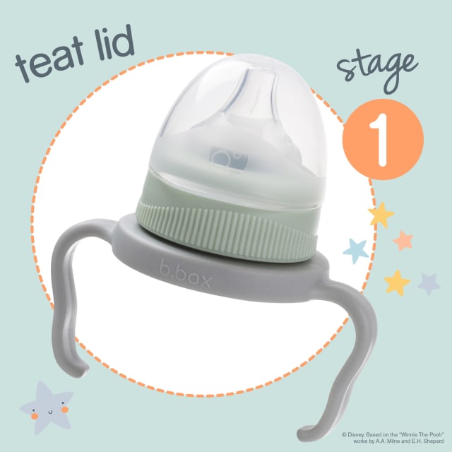 B.BOX Winnie The Pooh Transition Value Pack