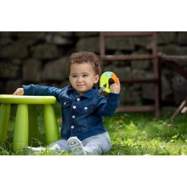 CHICCO Teether: Fresh Funny 6M+