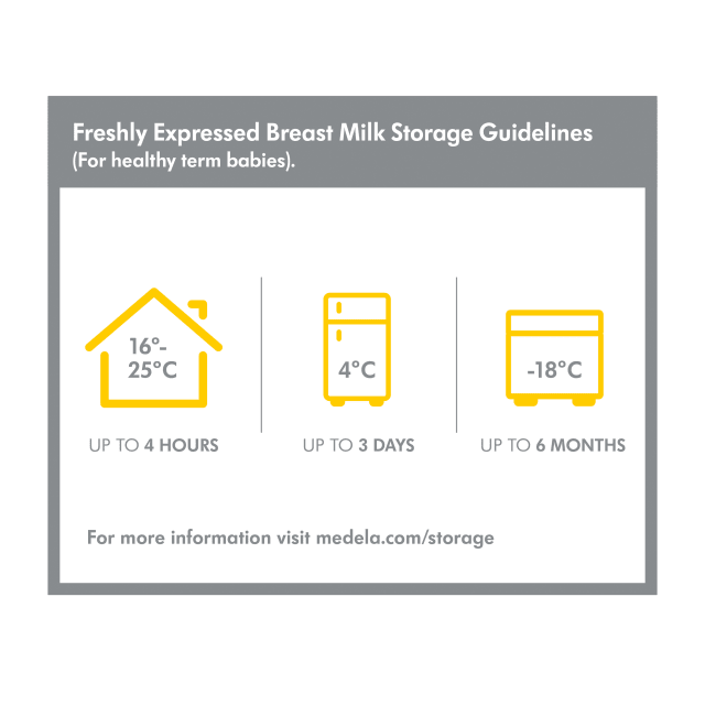 MEDELA Breast Milk Bottle PP 250ml 2pk