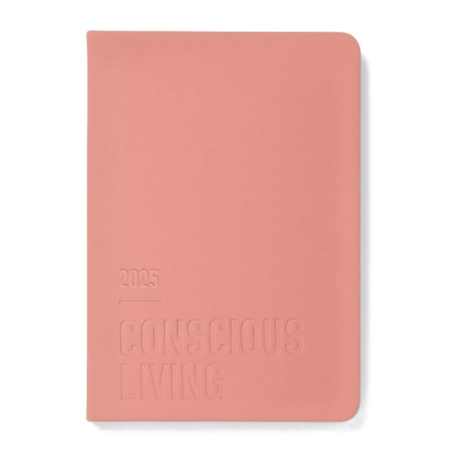 Letts 2025 Conscious A5 WTV ML Clay