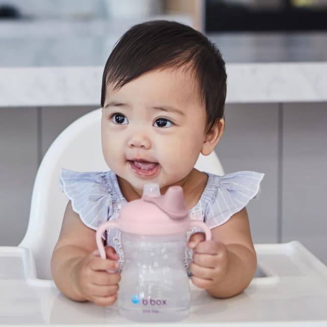 B.BOX Spout Cup - Blush 240ml