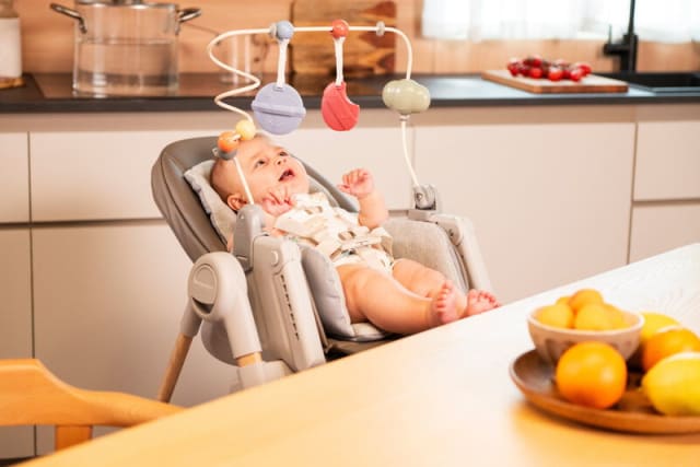 CHICCO HighChair: Polly Armonia Scandinavian