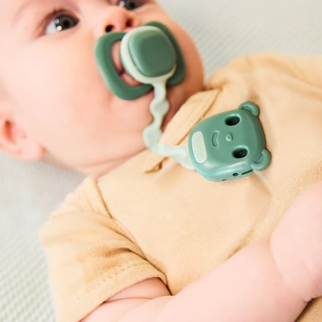 BBOX Soother Clips Sage & Ocean