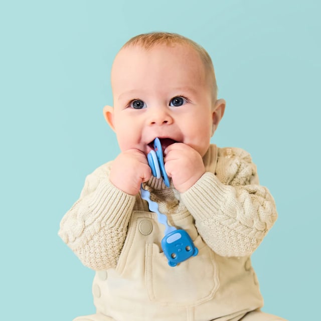 BBOX Soother Clips Sage & Ocean