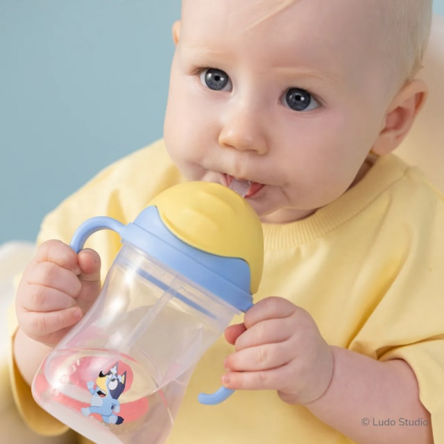 Bbox Sippy Cup Bluey