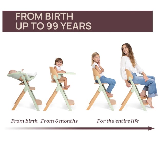Chicco Highchair: Meraviglia Fossil