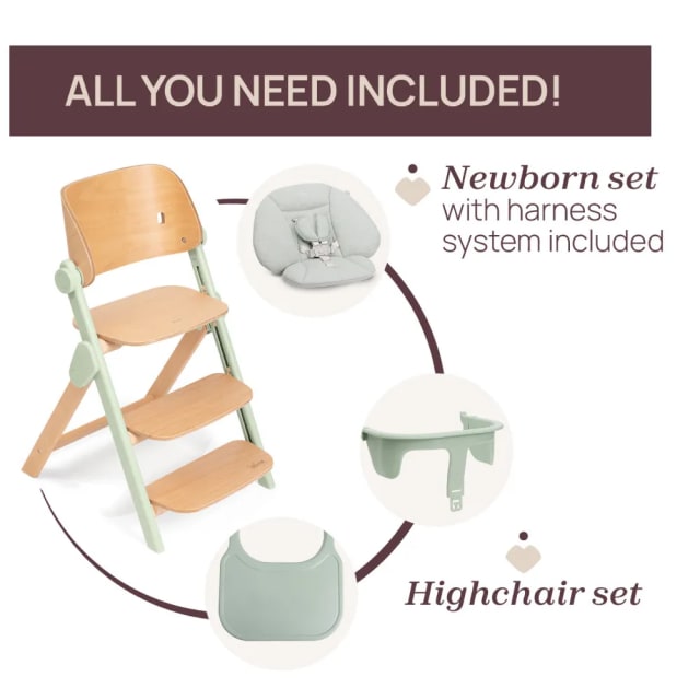 Chicco Highchair: Meraviglia Fossil