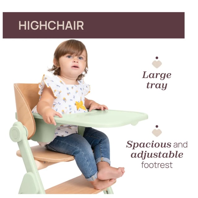 Chicco Highchair: Meraviglia Fossil