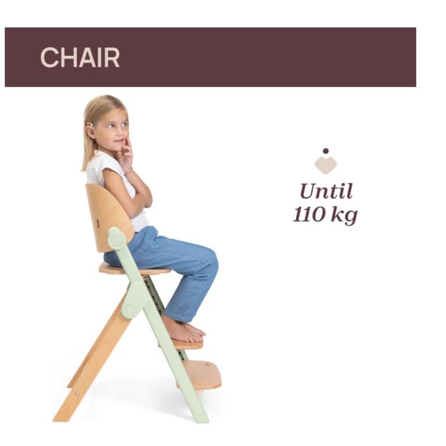 Chicco Highchair: Meraviglia Fossil