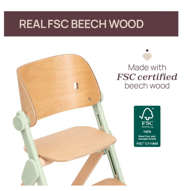 Chicco Highchair: Meraviglia Fossil