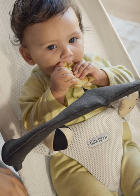 Soft Toy for Bouncer Sunny Friends