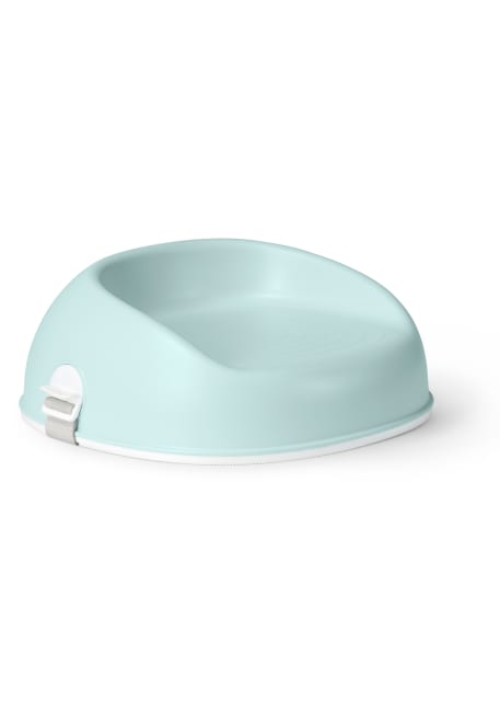 Baby Bjorn Booster Seat Mint Green