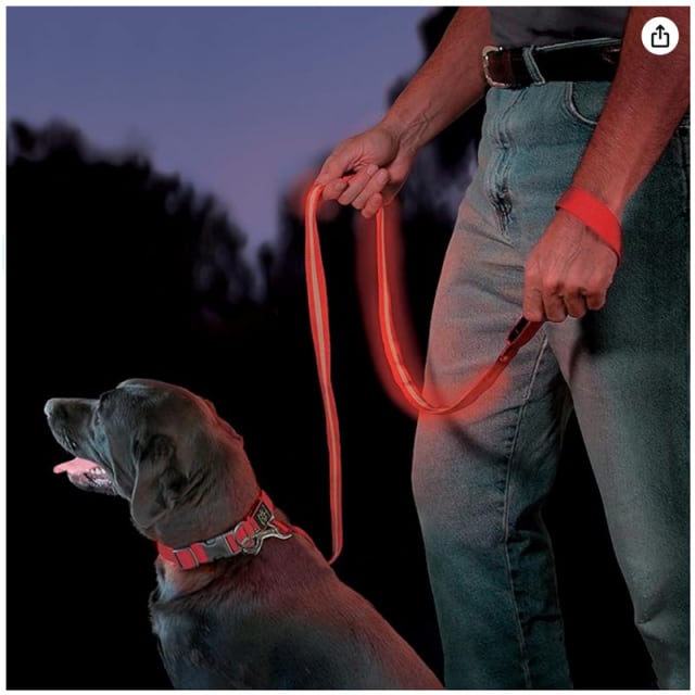 NITE IZE Nite Dawg Leash Red LED