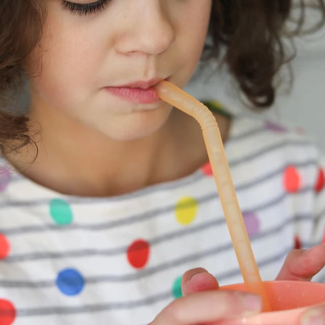 B.BOX Silicone Straw Travel Pack