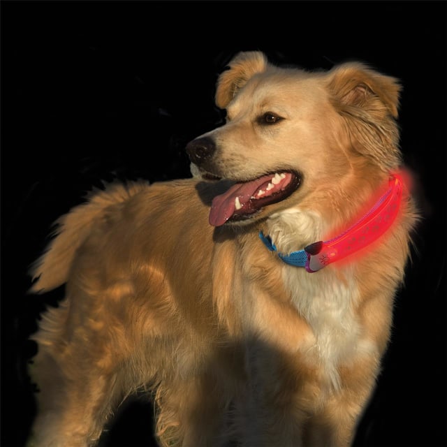 NITE IZE Nite Dawg LED Collar Cover - Pink