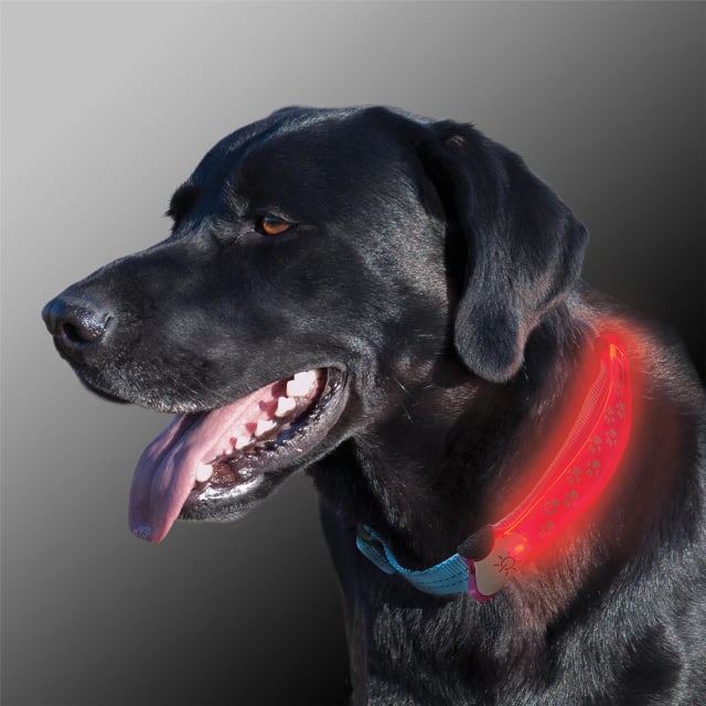 NITE IZE Nite Dawg LED Collar Cover - Pink