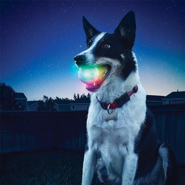 NITE IZE GlowStreak LED Ball - Disc-O