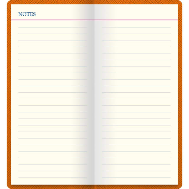 LETTS Legacy Slim Pkt Travel Journal Orng