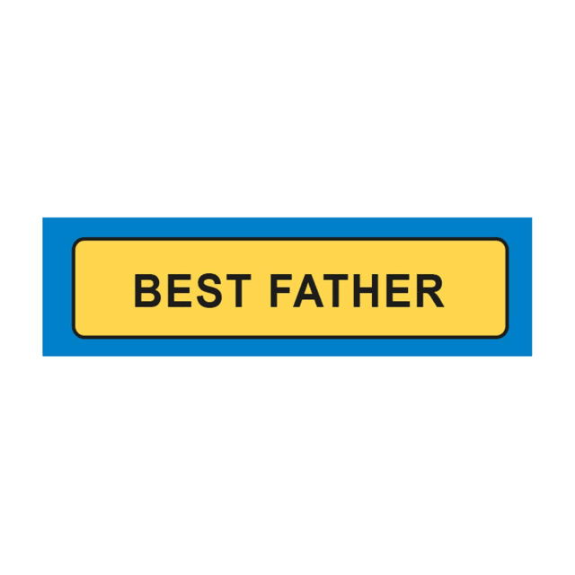 MIKO KeyringS LIC PLATES BEST FATHER