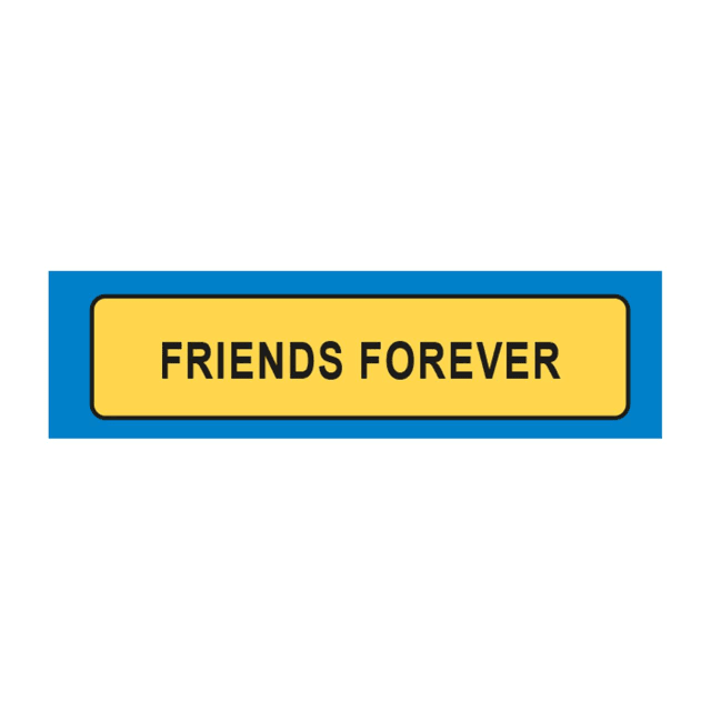 MIKO KeyringS LIC PLATES FRIENDS FOREVER
