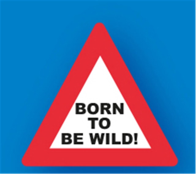 MIKO Keyrings PVS SIGNS BORN TO BE WILD