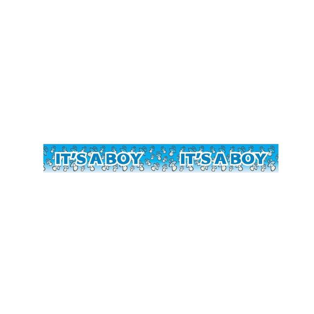 MIKO TAPE - ITs A BOY