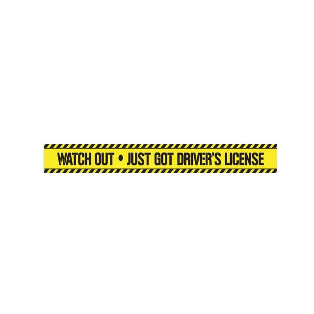 MIKO TAPE- WATCH OUT JUST GOT DRIVERS LICENCE