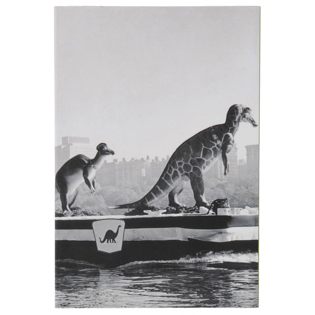 CHRISTIAN LACROIX NYT Layflat Pkt Book Dinosaurs on Hudson