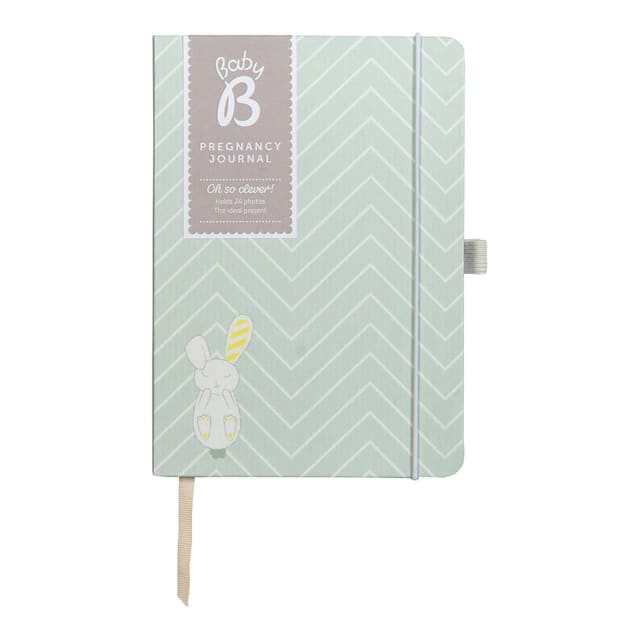 KTWO Baby B Pregnancy Planner