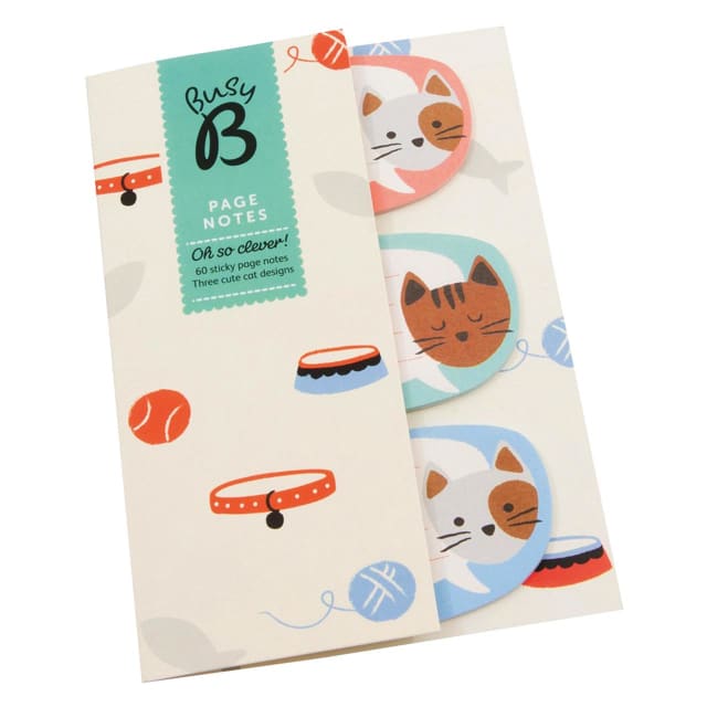 KTWO Busy B Kitty Page Notes
