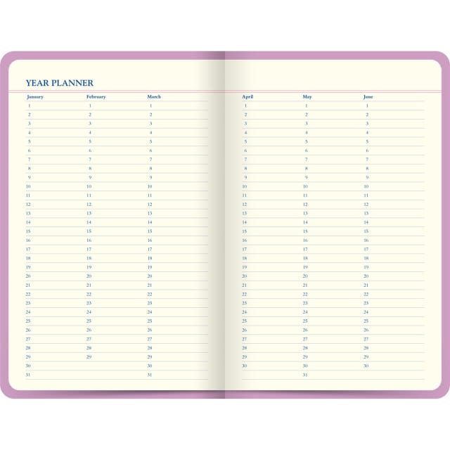 LETTS Icon Book Perpetual Diary Pink