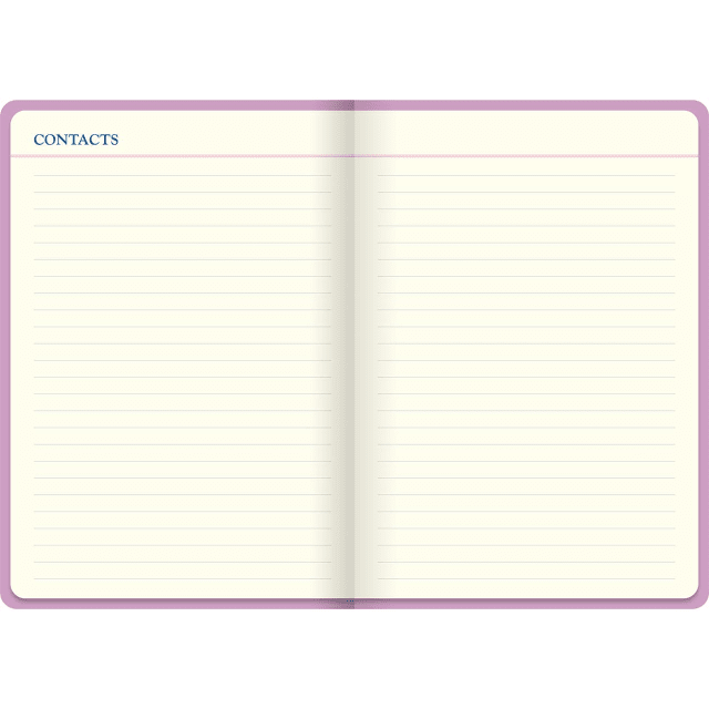 LETTS Icon A5 5 year Diary Pink